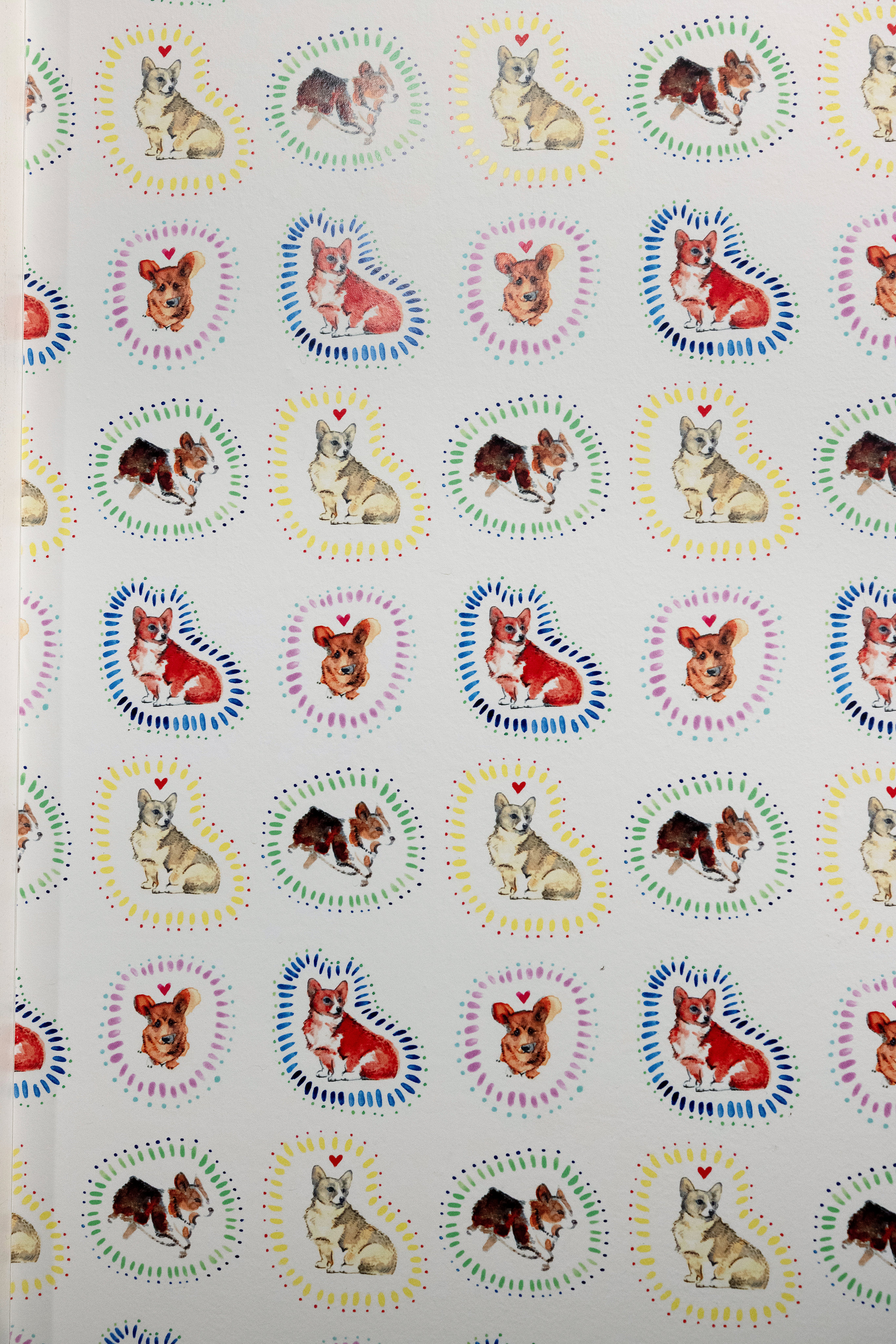 Bright laundry room with durable finishes and thoughtful organization