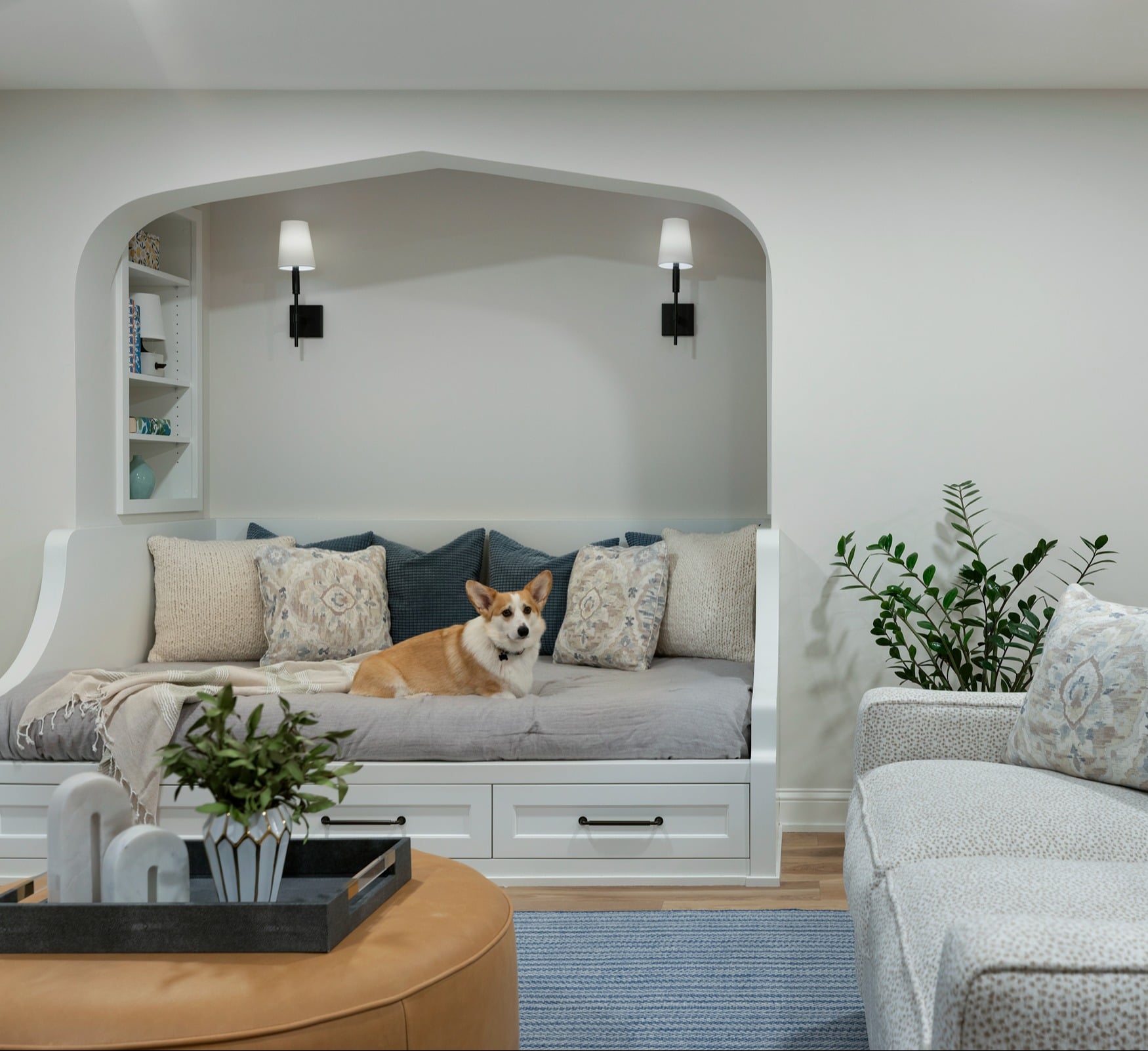 Day bed in basement with dog by MA Peterson